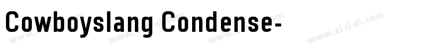 Cowboyslang Condense字体转换